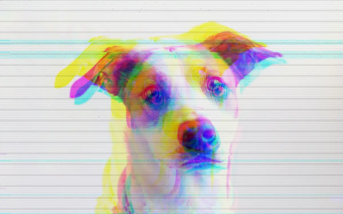 An exported GlitchFilter image: the dog portrait again, its color channels split into rainbow offsets over soft scanlines